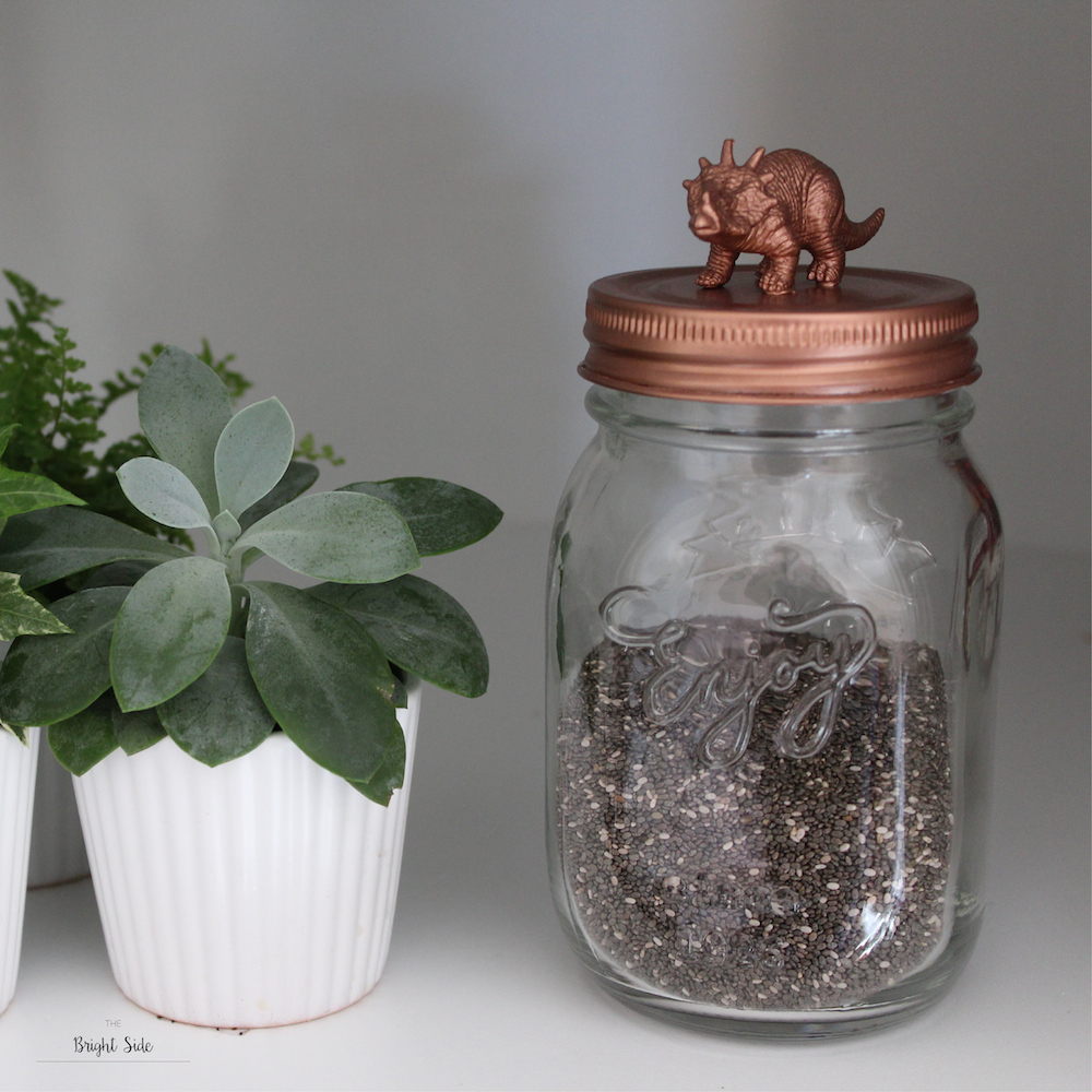 [DIY] – Pour s'organiser : Mason jar dinosaure !