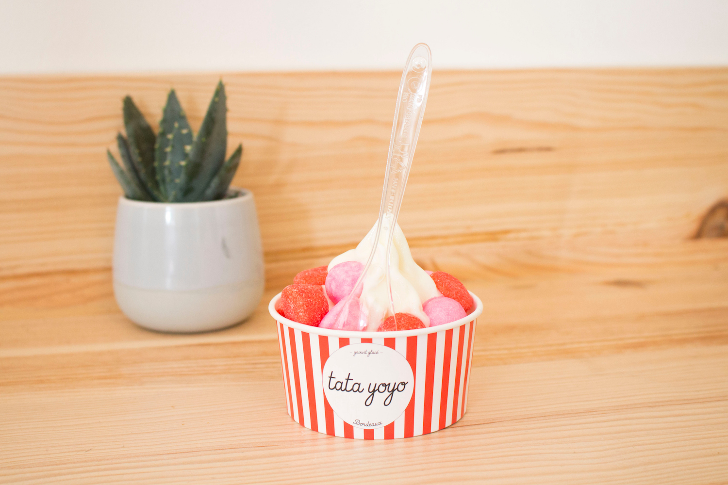 Une journée à Bordeaux 