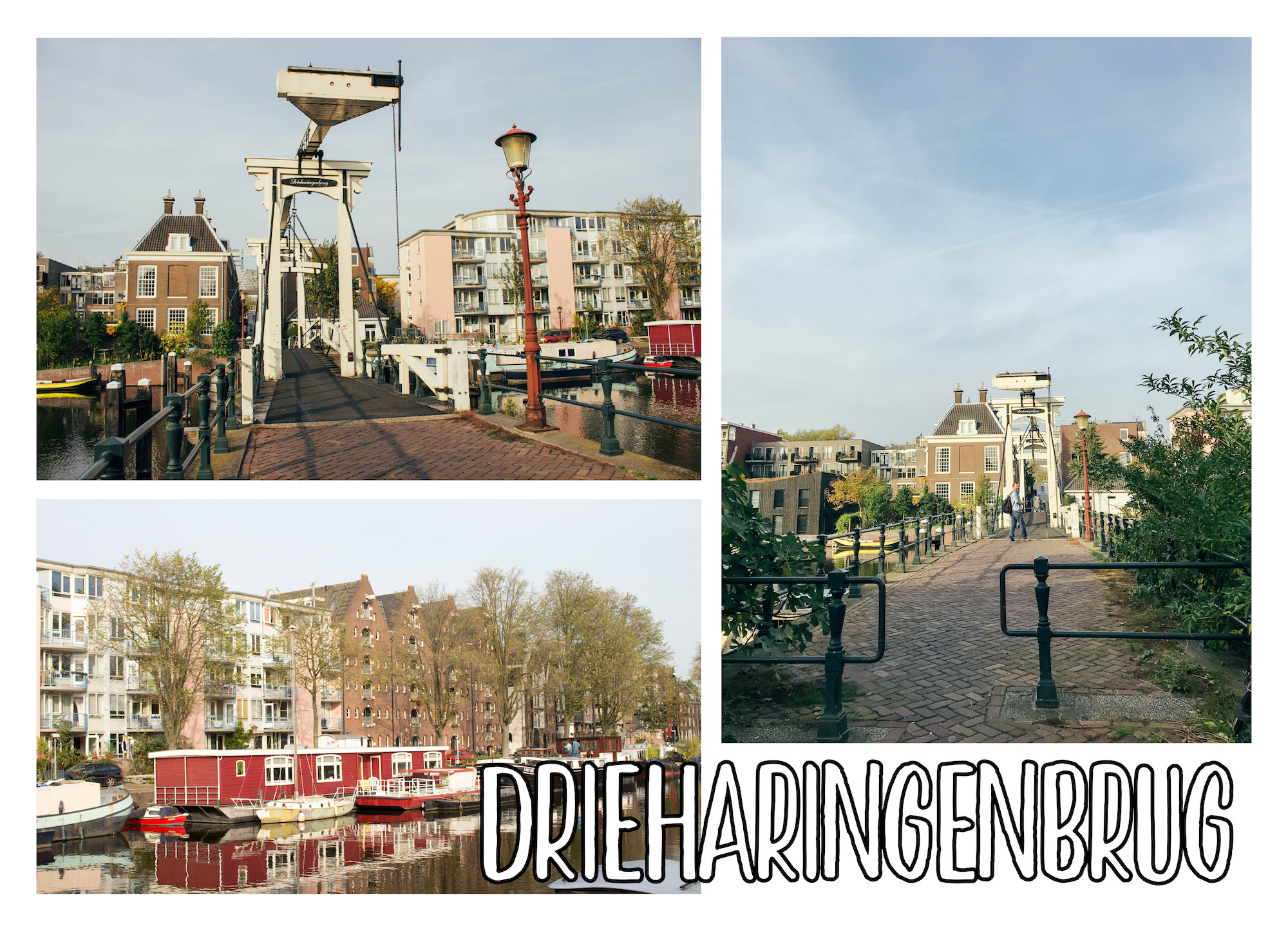 Spots photos à Amsterdam