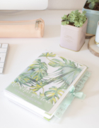 Mes conseils RunDisney pour une course réussie